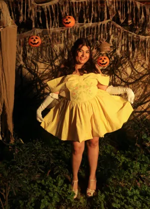 Eleanor Yellow Embroidered Corset Mini Dress
